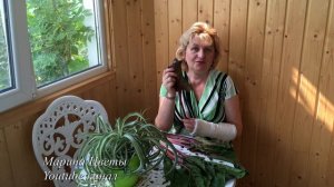 СВЕКЛА И КИСЛАЯ ПОЧВА