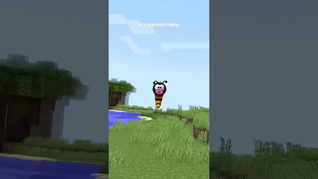 СБОРНИК ОТ @titwow HD смотреть онлайн