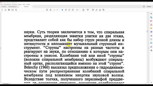 Физиология уха смотреть онлайн