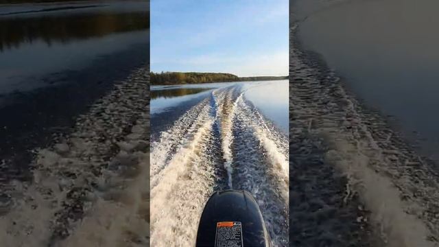 По реке Оредеж на лодке ПВХ с мотором