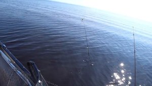 Рыбалка троллингом на Рыбинке. Брейтово 18+