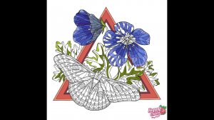 Бабочки 301-310