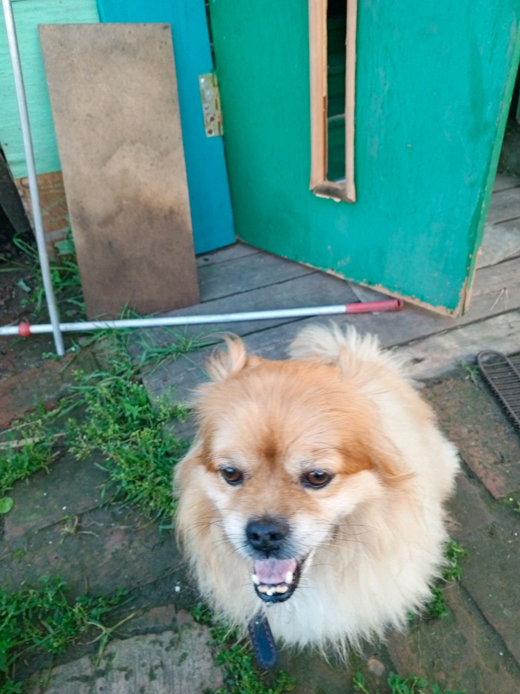 пр смотреть онлайн