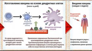 Лечение рака дендритными клетками, иммунотерапия