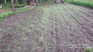 Что такое черный пар