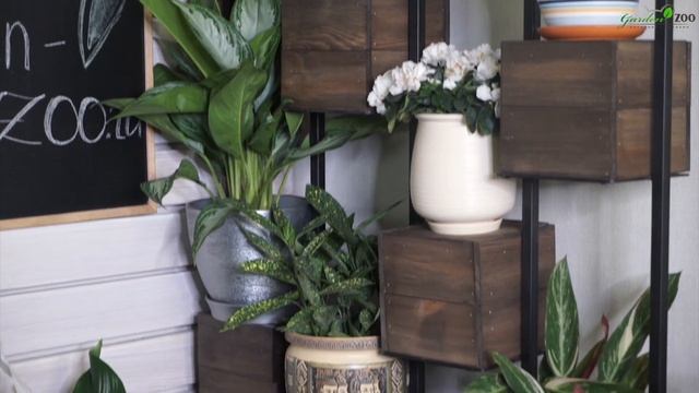 Как Выбрать Керамические Горшки и Кашпо ✔️ Виды Глиняных Горшков ✔️ смотреть онлайн