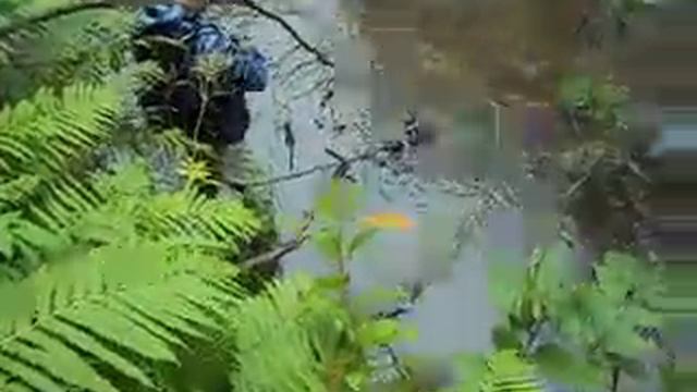 Микроджиг смотреть онлайн