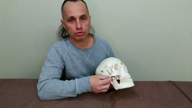 Техника корреккции окципито-мастоидального шва смотреть онлайн