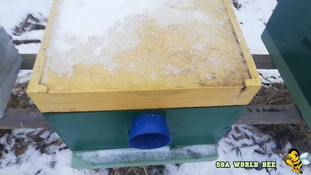 Селекция Украинской степной Отводок на рамку 230 смотреть онлайн