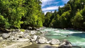 Футаж Природа 16