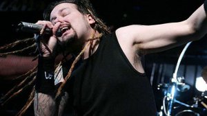 KoЯn Falling Away From Me (imagenes)