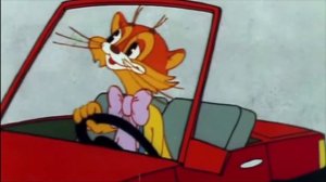 Никогда не теряй своей мечты (Леопольд cover) #котлеопольд