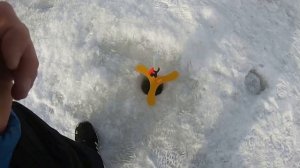 "Форель на поставушки / Раменский рыбхоз Гжелка".