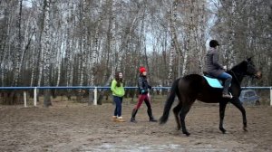 Тренировка по верховой езде (Школа верховой езды Династия).