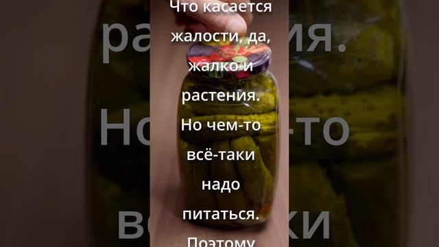 Веганы выбирают зло