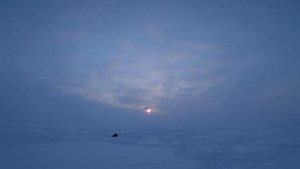 И снова ПРЫЩ. Большие глубины. Глухозимье. Ловля судака зимой.