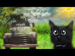 Школа Жизни ( Исследуем Местность)