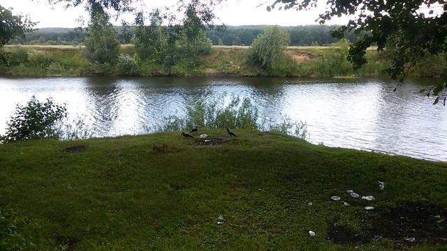 Дневник Вороноведа:):) Где пикник, там надо убраться!! смотреть онлайн