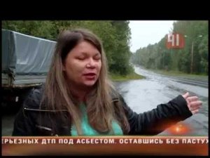 Сбили корову