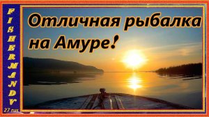 Рыбалка на Амуре 2021, Утро, спиннинг и река Амур !