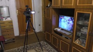 Тест XLR микрофон-пушка