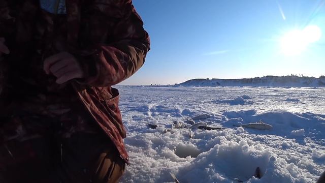 Наловила мешок рыбы смотреть онлайн