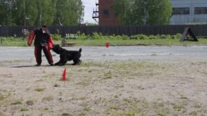 РЧТ Воевода Ермак