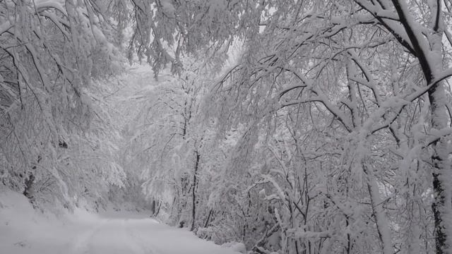 Познавательный рассказ «Лютень. Велесов день»