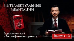 Интеллектуальные медитации.  Видеокомментарий к Психософическому трактату: выпуск 13