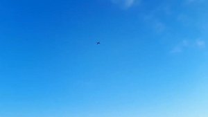 Красное Село. Родниковая улица. 10.12.2021 г.