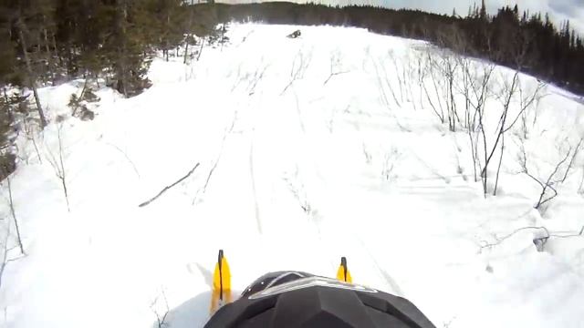 2003 550F legend tree riding GoPro HD смотреть онлайн