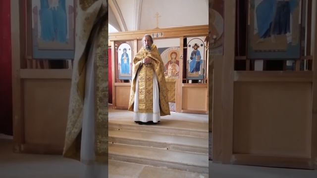 Проповедь прот. Александра Салтыкова в день памяти Московских св. и прписп. Гавриила Мелекесского смотреть онлайн