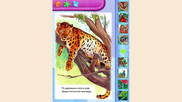 Обучающее видео для детей. Учим животных (в море, на небе, в джунглях) Часть 3 смотреть онлайн