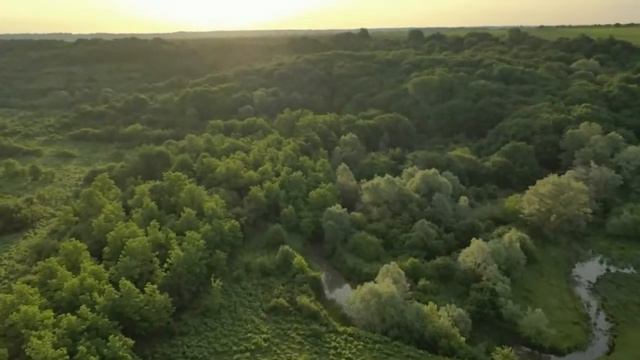 2  Выбор участка. смотреть онлайн