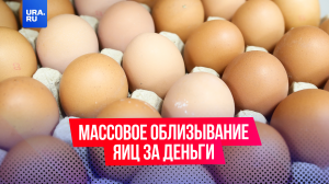 В Екатеринбурге народ массово лижет яйца за деньги
