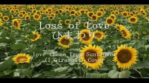 Loss of Love ひまわり love theme from Sunflower(I Girasoli) Cover