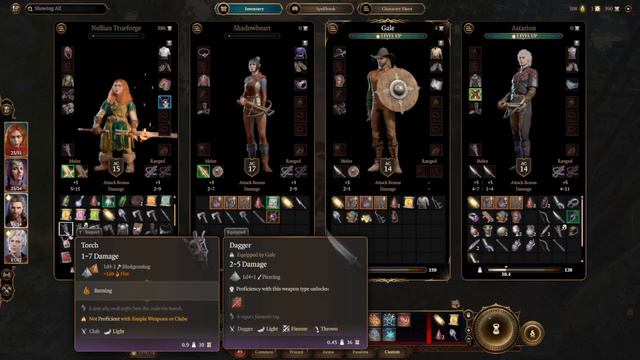 Nellian Trueforge, OotA Paladin - BG3 02 - Entering the Druid Grove смотреть онлайн