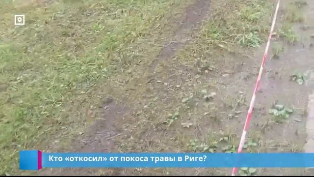 Кто «откосил» от покоса травы в Риге? смотреть онлайн