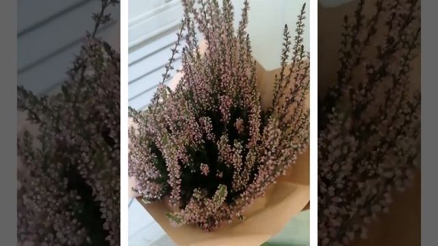 Уход за лицом. смотреть онлайн