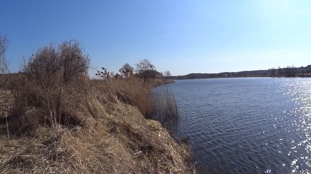 Ловля на фидер 2021. Рыбалка весной на реке . Весенний фидер смотреть онлайн