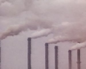 Экология. Многоликая среда обитания