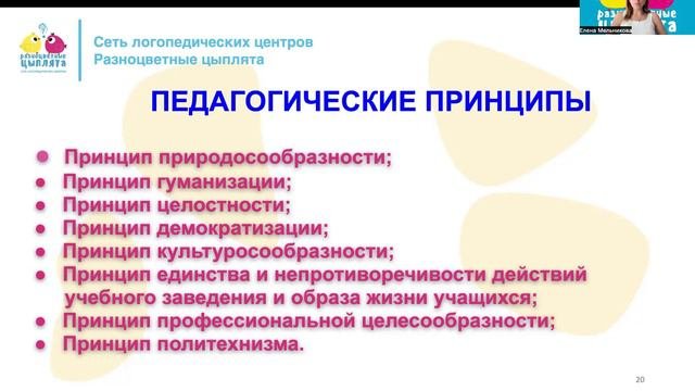 Общая педагогика объект, предмет, задачи, функции, принципы, структура, история.