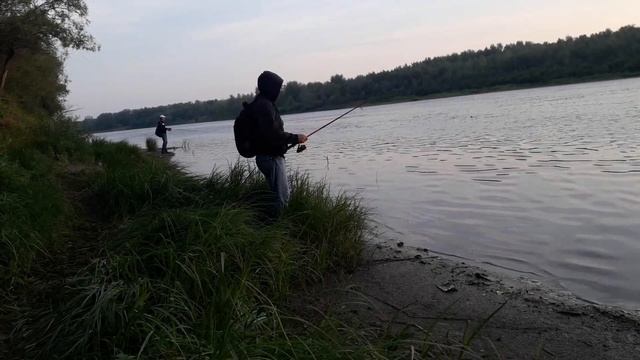 Первый Жерех и Головень в черте города Уральска на р.Урал