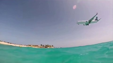 Vivienne Mort Лети