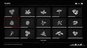 All 43 Plants Compendium - Red Dead Redemption 2