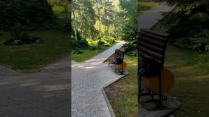 санаторий *Сибирь*. Siberia resort&spa