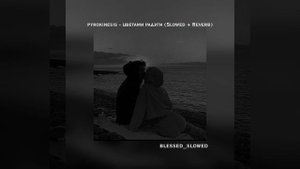 И если честно, мы как Читос и как Честер / 𝙿𝚢𝚛𝚘𝚔𝚒𝚗𝚎𝚜𝚒𝚜 - Цветами радуги (𝚂𝚕𝚘𝚠𝚎𝚍 + 𝚁𝚎𝚟𝚎𝚛𝚋)