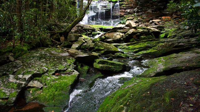 The Most Relaxing Music (The most relaxing flute & nature sounds) смотреть онлайн