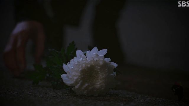 Penthouse: War In Life | Natural смотреть онлайн