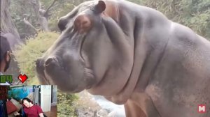 Мужчина Заснял На Камеру То Что Никто Не Должен Был Увидеть ▶ реакция